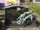image of grave number 267714